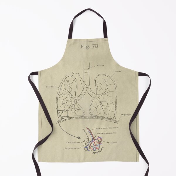 Item preview, Pulmonary anatomy - Vintage textbook figure designed and sold by MicroMarket.