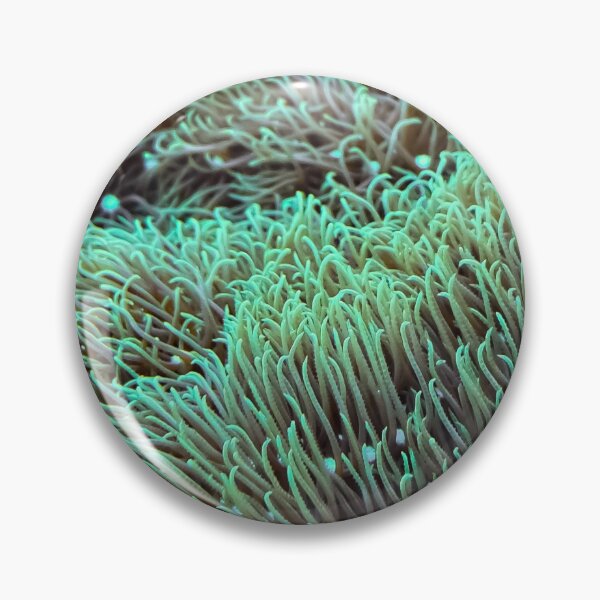 Item preview, Green Star Polyps designed and sold by FocusVibes.
