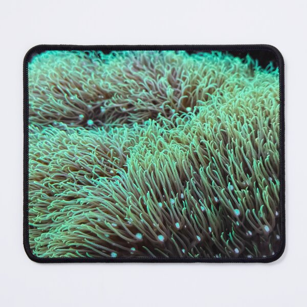 Item preview, Green Star Polyps designed and sold by FocusVibes.