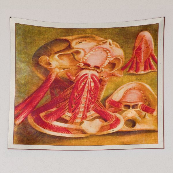 Item preview, Anatomical Face and Neck Lithograph designed and sold by MAGGDDigital.