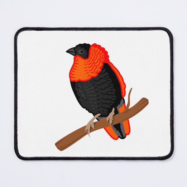 Item preview, Red Bishop Weaver designed and sold by ElizabethsFlock.