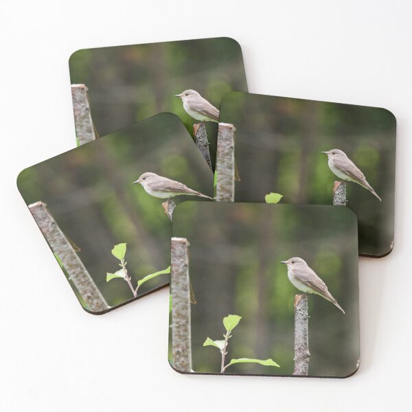 Item preview, Hunting spot. Spotted Flycatcher designed and sold by Jouko Lehto Photography.