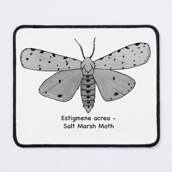 Item preview, Salt Marsh Moth - Estigmene acrea designed and sold by scarpacific.