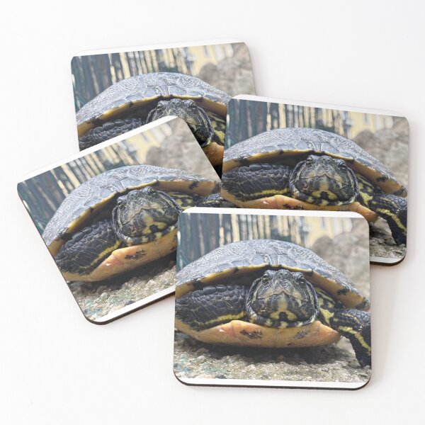 Item preview, Turtle designed and sold by WorldOfVolt.