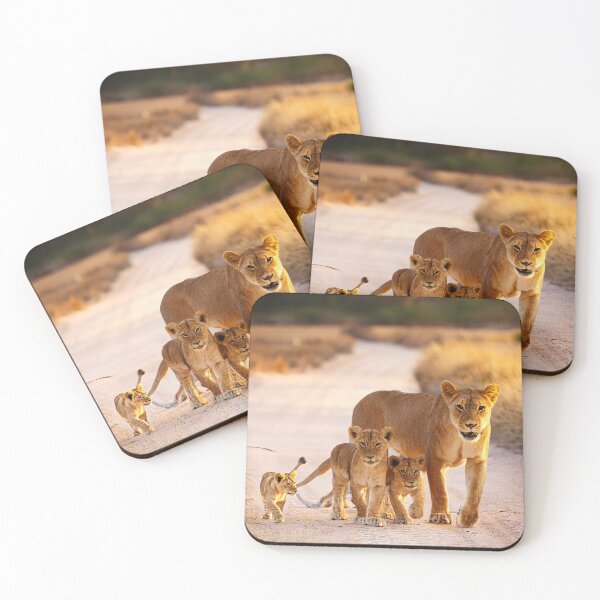 Item preview, Liones with cubs designed and sold by Photopat.
