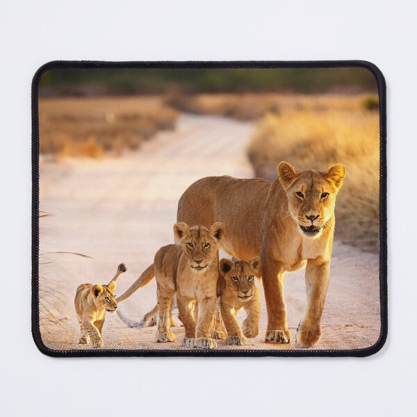 Item preview, Liones with cubs designed and sold by Photopat.
