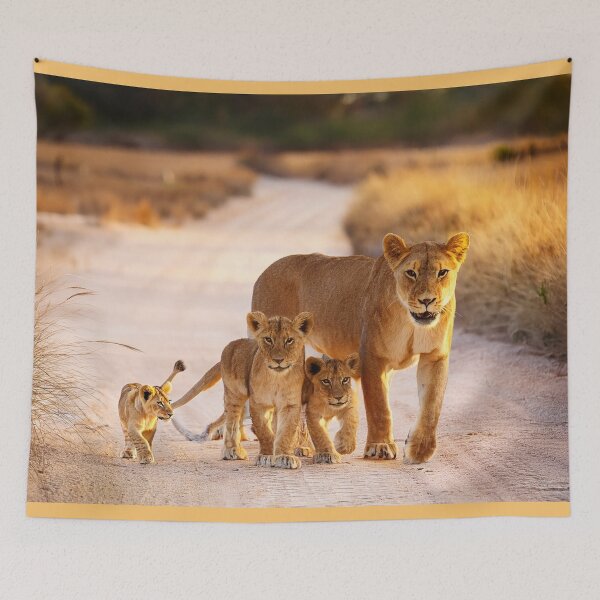 Item preview, Liones with cubs designed and sold by Photopat.