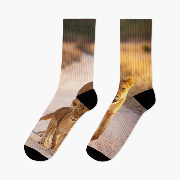Item preview, Liones with cubs designed and sold by Photopat.