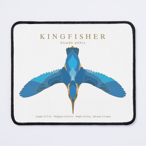 Item preview, Kingfisher (Alcedo atthis) designed and sold by AndySteer.
