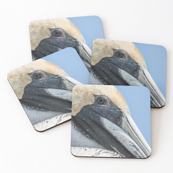 Item preview,  Brown pelican in North Carolina designed and sold by KensLensDesigns.