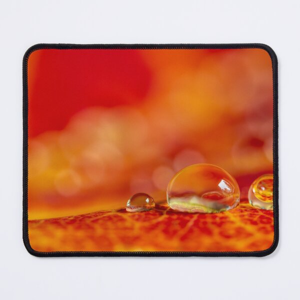 Item preview, Autumn drops designed and sold by Veikko  Suikkanen.