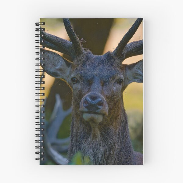 Item preview, Richmond Stag designed and sold by VanderWyst RE-Design.