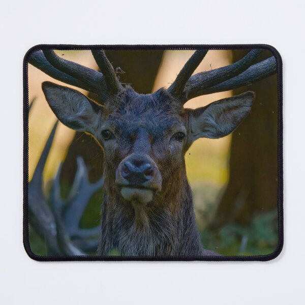 Item preview, Richmond Stag designed and sold by VanderWyst RE-Design.