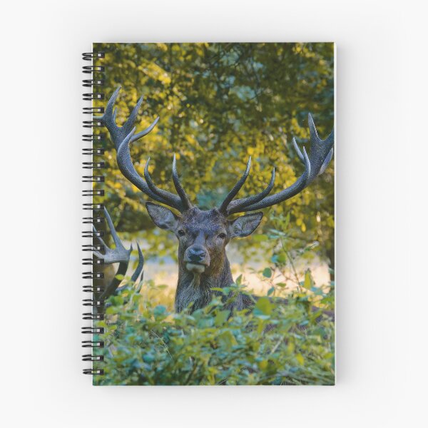 Item preview, Stag Standoff designed and sold by VanderWyst RE-Design.