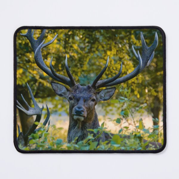 Item preview, Stag Standoff designed and sold by VanderWyst RE-Design.