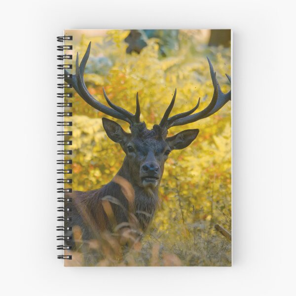 Item preview, Deer Sunset designed and sold by VanderWyst RE-Design.