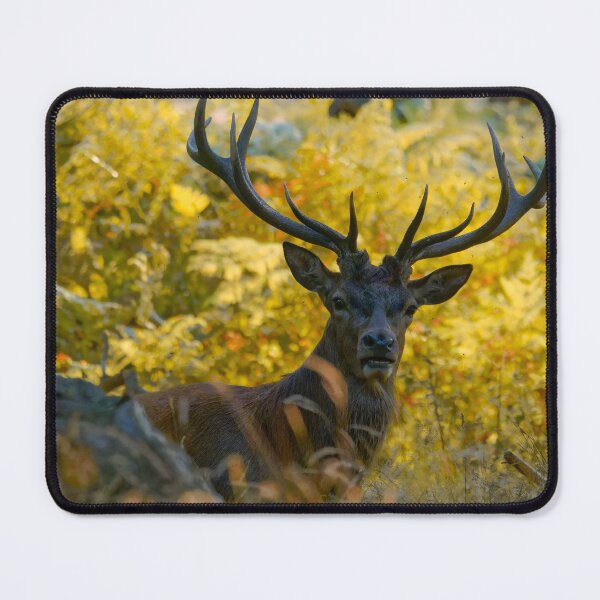 Item preview, Deer Sunset designed and sold by VanderWyst RE-Design.