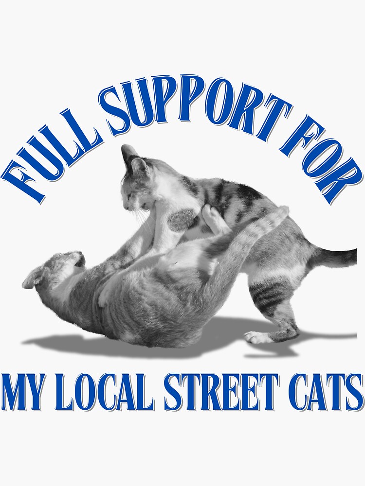 Full support for my local street cats funny essential t-shirt