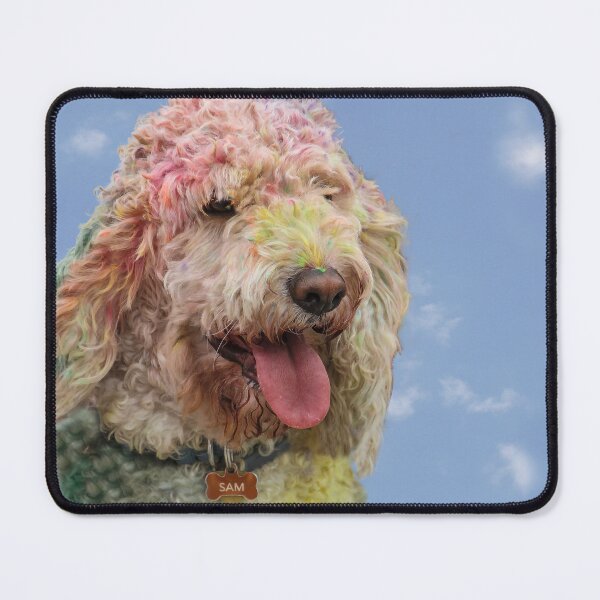 Item preview, Holi Sam I Am designed and sold by heatherfriedman.