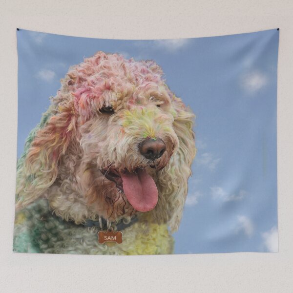 Item preview, Holi Sam I Am designed and sold by heatherfriedman.