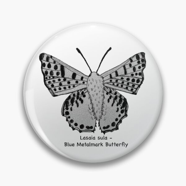 Item preview, Blue Metalmark Butterfly - Lasaia sula designed and sold by scarpacific.