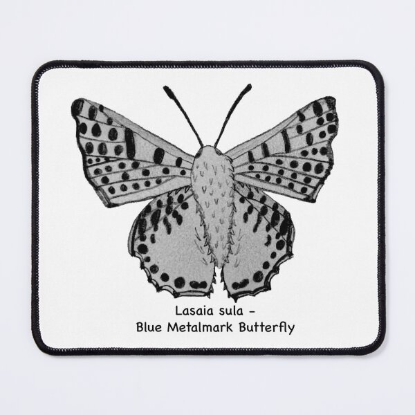 Item preview, Blue Metalmark Butterfly - Lasaia sula designed and sold by scarpacific.