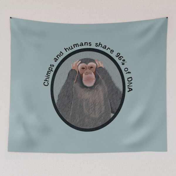 Item preview, Chimpanzees and Humans designed and sold by Amy Hadden.
