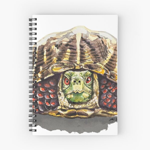 Item preview, Kansas Box Turtle designed and sold by BreonBliss.