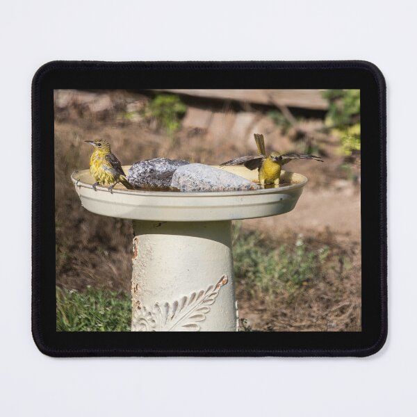 Item preview, Orioles Bathing designed and sold by CarolM.