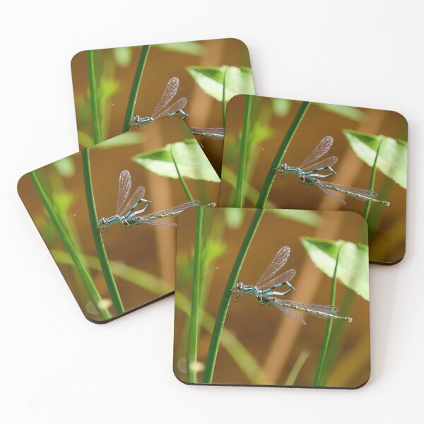 Item preview, Tight love. Northern damselfly designed and sold by Jouko Lehto Photography.