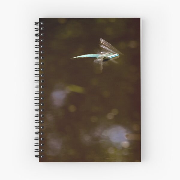 Item preview, Damsenfly abstract designed and sold by Jouko Lehto Photography.