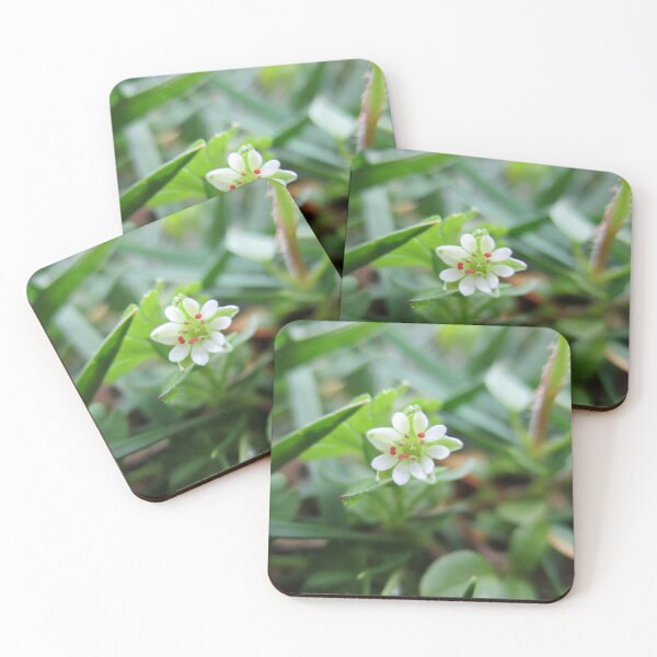 Item preview, Hidden White Flower designed and sold by HeWritesWLight.