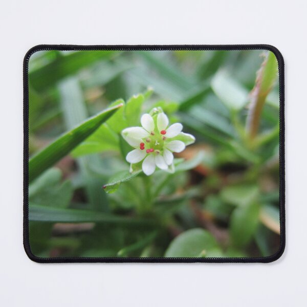 Item preview, Hidden White Flower designed and sold by HeWritesWLight.
