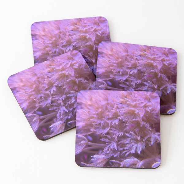 Item preview,  Xenia Garden designed and sold by FocusVibes.