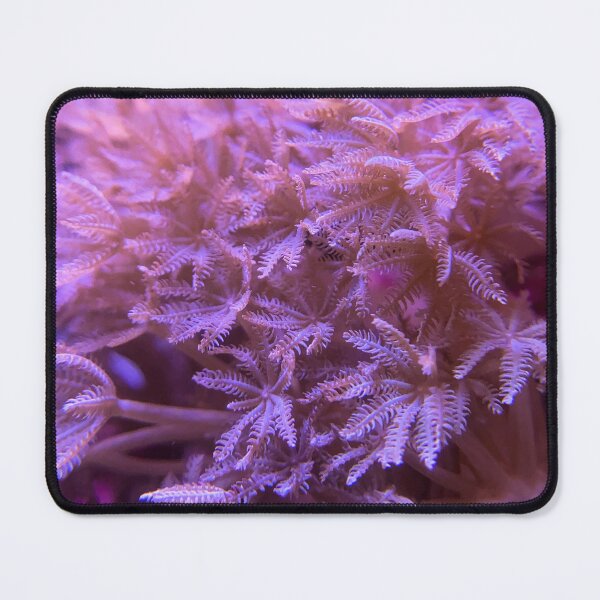 Item preview, Xenia Garden designed and sold by FocusVibes.