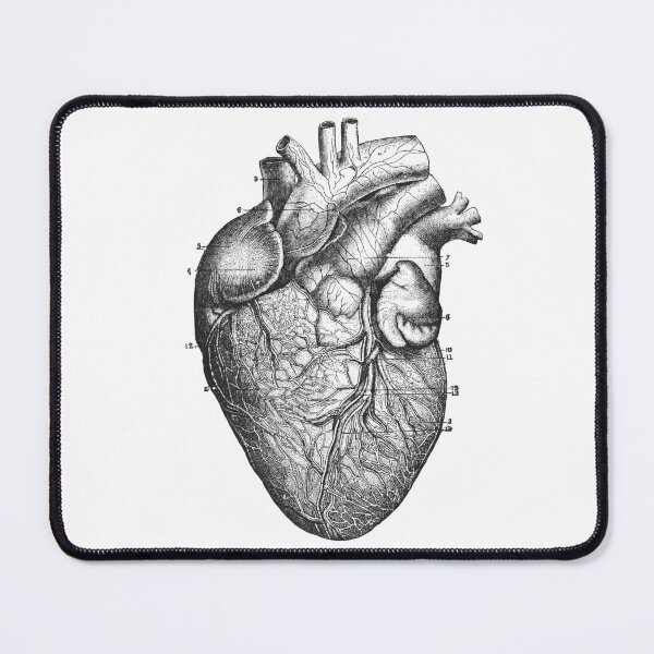 Item preview, Vintage Anatomy Heart illustration on transparent background designed and sold by EmeraldeaArt.