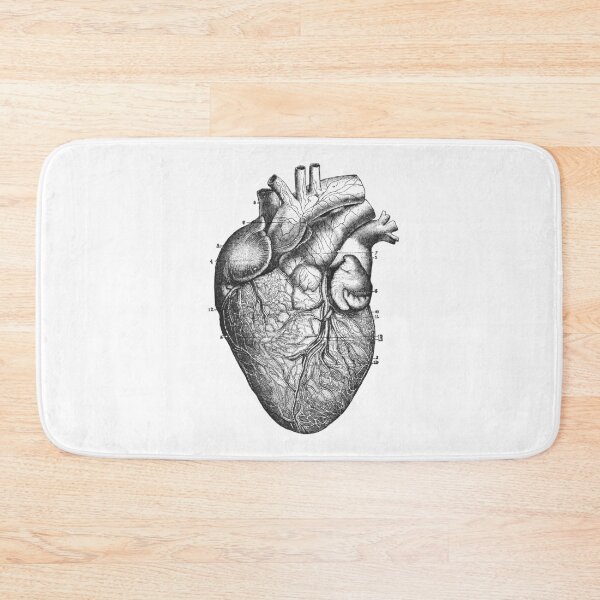 Item preview, Vintage Anatomy Heart illustration on transparent background designed and sold by EmeraldeaArt.