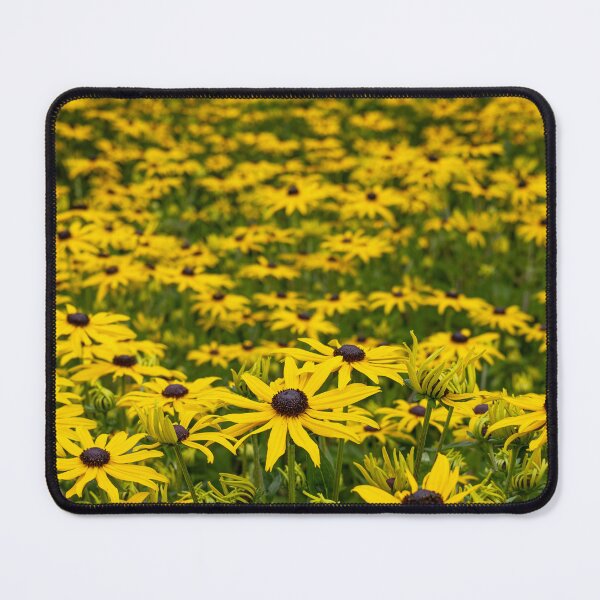 Item preview, Black-eyed Susans designed and sold by Nigel R Bell Photography.