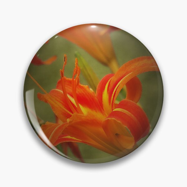 Item preview, Orange Beauty designed and sold by CarolM.