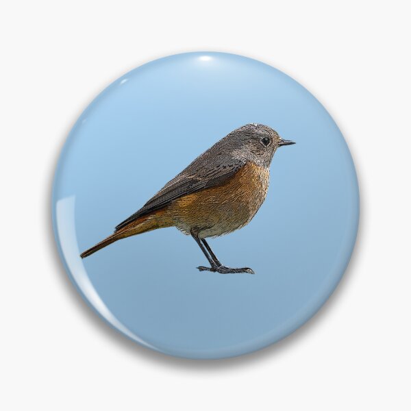 Item preview, Common Redstart Color Design  designed and sold by designsasstultd.