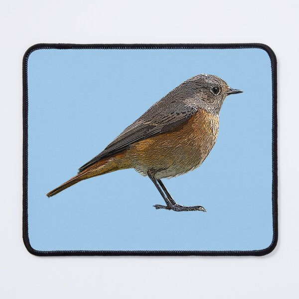Item preview, Common Redstart Color Design  designed and sold by designsasstultd.