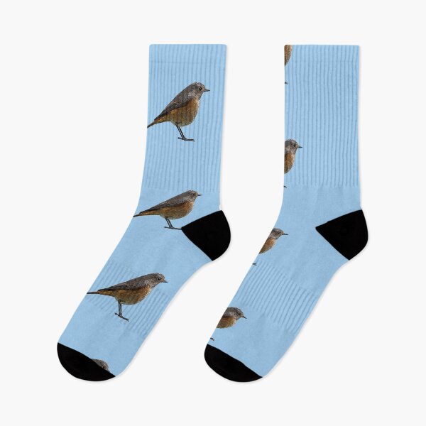Item preview, Common Redstart Color Design  designed and sold by designsasstultd.