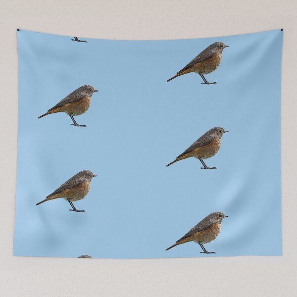 Item preview, Common Redstart Color Design  designed and sold by designsasstultd.