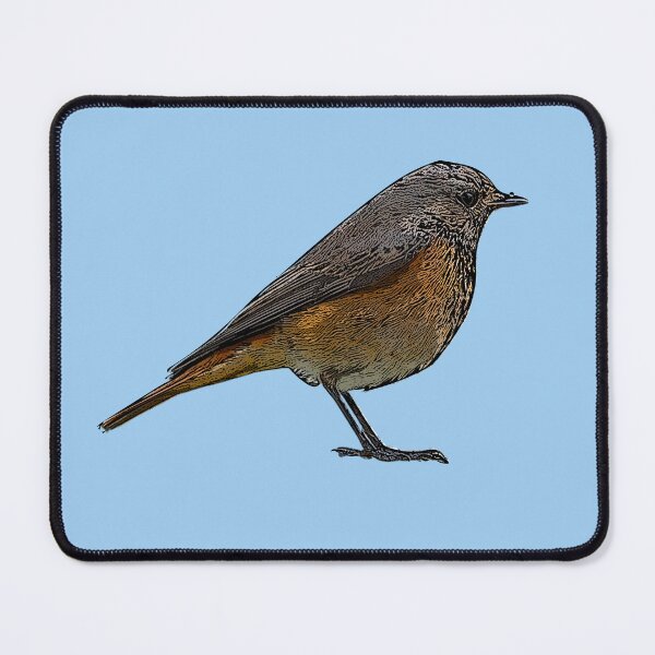 Item preview, Common Redstart Black Alternate Design  designed and sold by designsasstultd.
