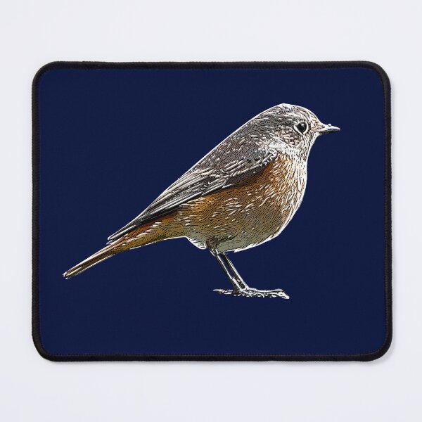 Item preview, Common Redstart White Alternate Design  designed and sold by designsasstultd.