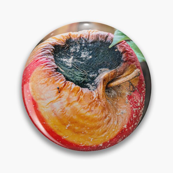 Item preview, Snow White's Folley designed and sold by AprilPhotoqueen.