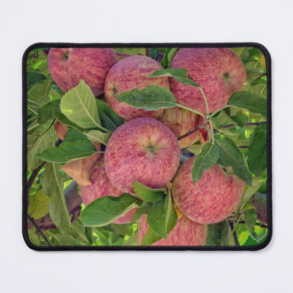 Item preview, Apples designed and sold by CarolM.