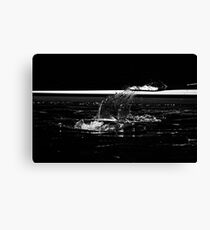 Splash Canvas Print