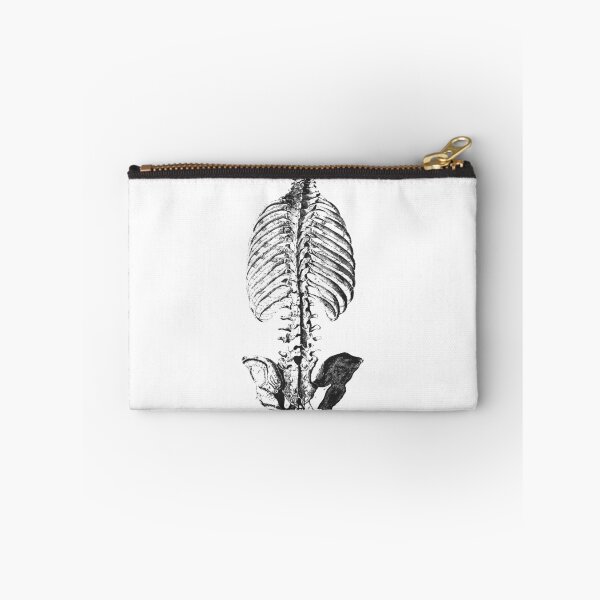 Item preview, Vintage human anatomy: bones ribcage and pelvic bones designed and sold by EmeraldeaArt.