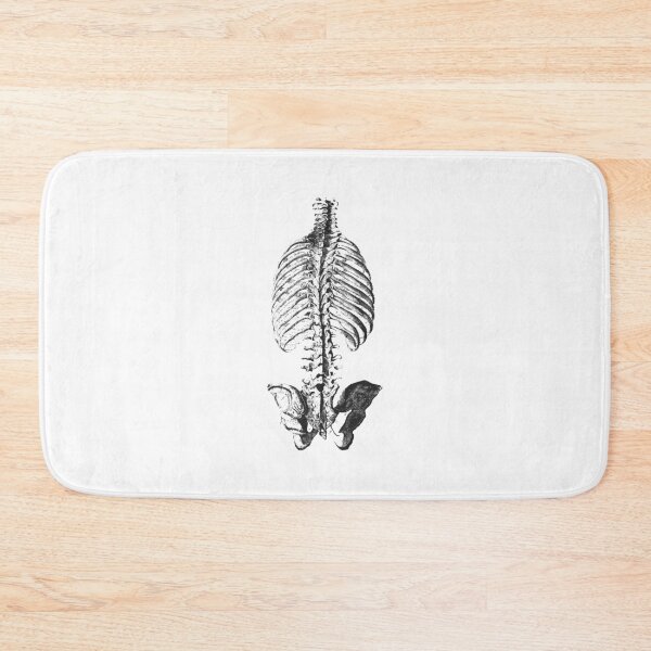 Item preview, Vintage human anatomy: bones ribcage and pelvic bones designed and sold by EmeraldeaArt.